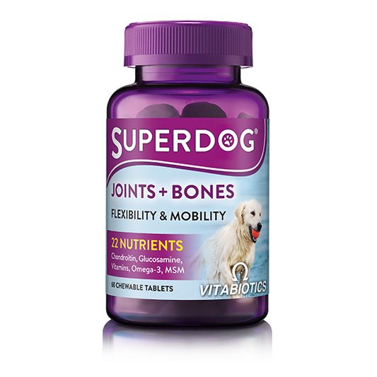 SuperDog Joints & Bones